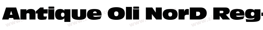 Antique Oli NorD Reg字体转换